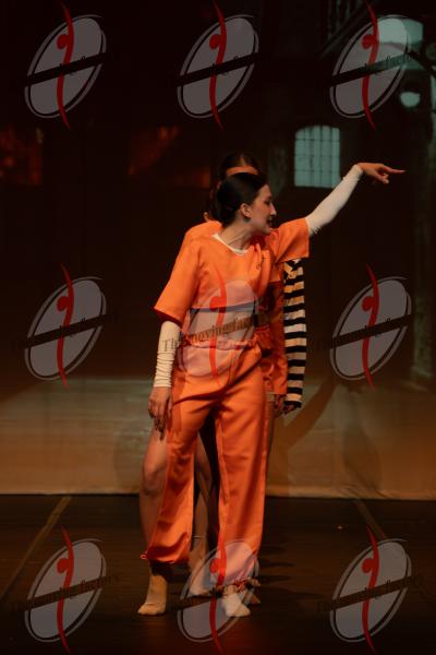 SHOW_01183.jpg